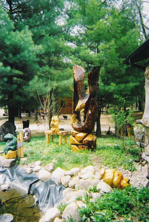 Eagles Fighting
